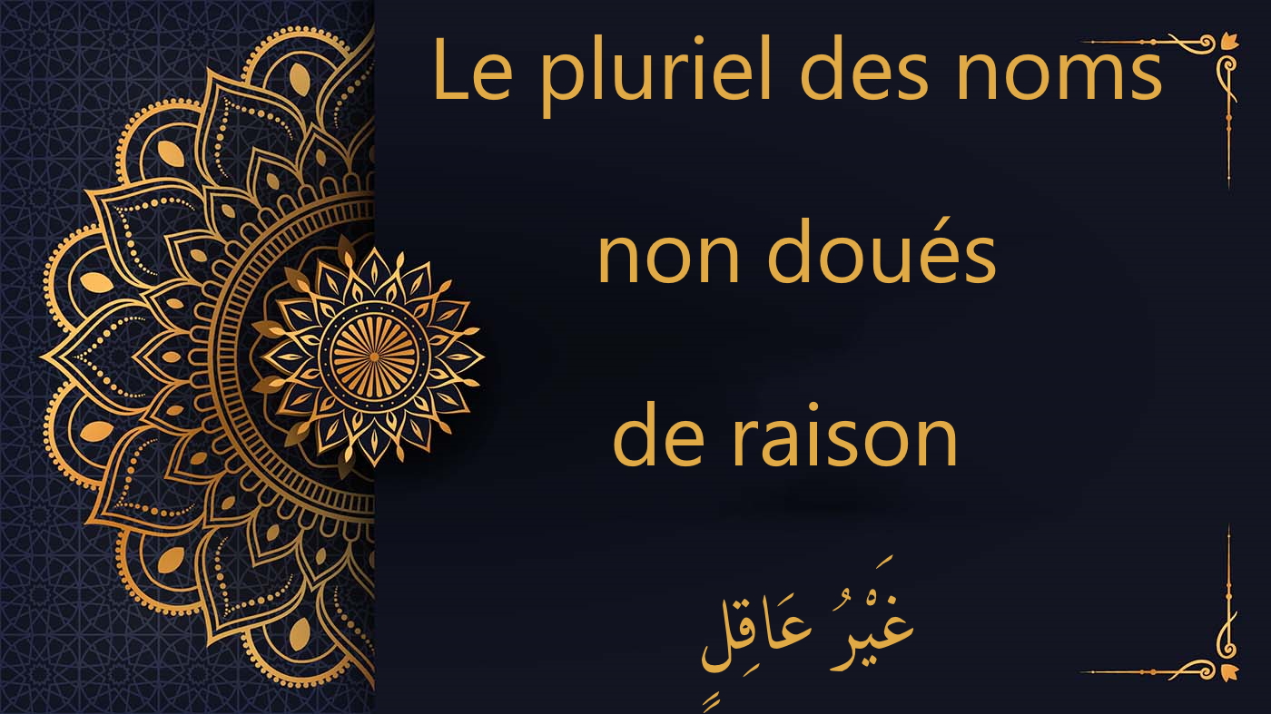 Le pluriel des noms non doués de raison - غَيْرُ عَاقِلٍ - cours d'arabe gratuit