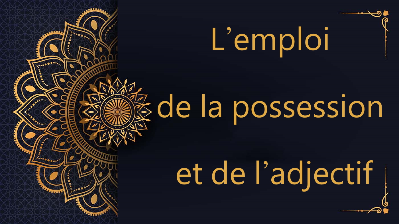 L’emploi de la possession et de l’adjectif - cours d'arabe gratuit
