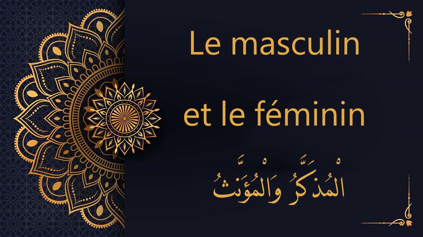 le masculin et féminin en arabe - cours d'arabe gratuit