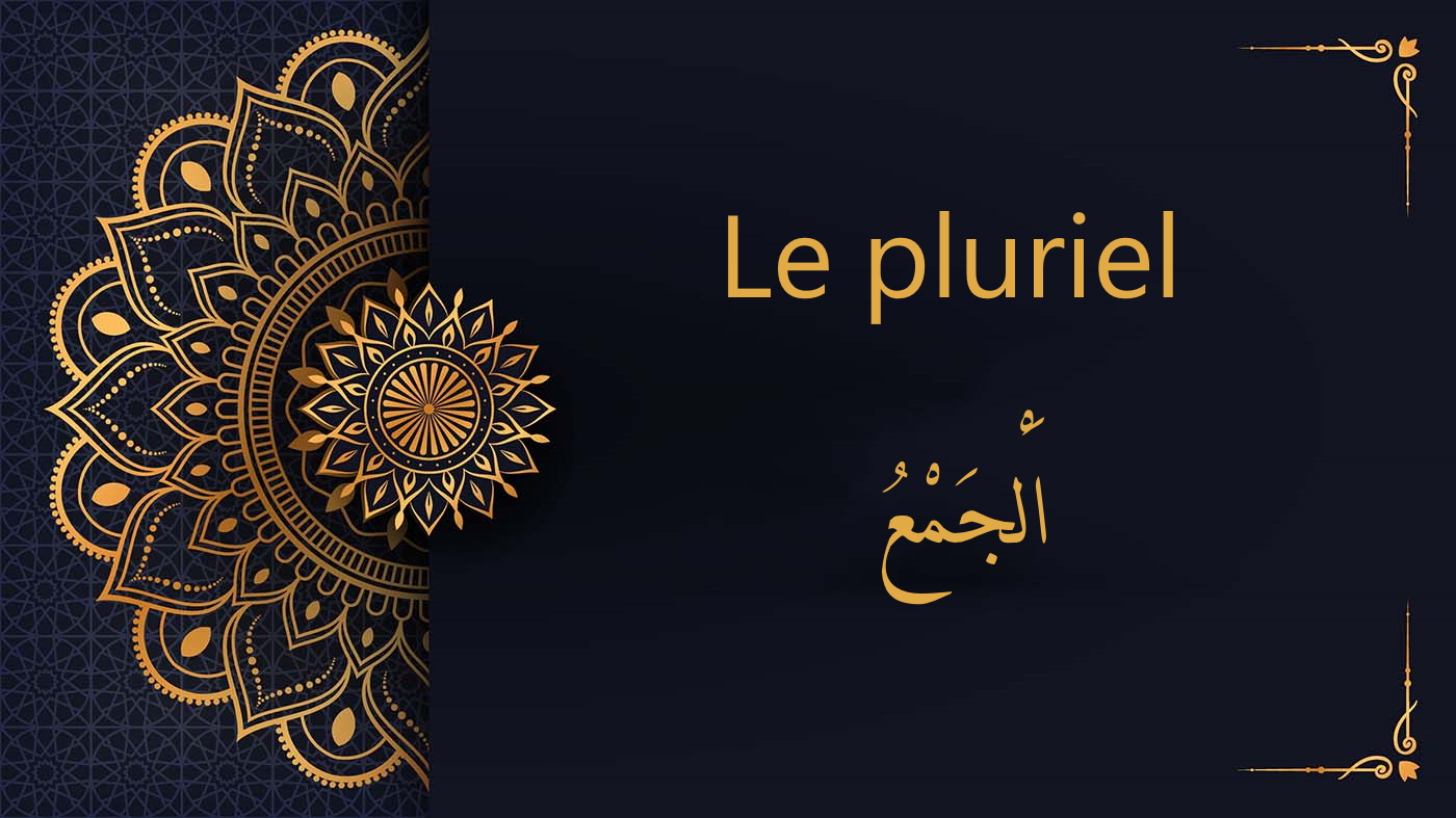 le pluriel - cours d'arabe gratuit