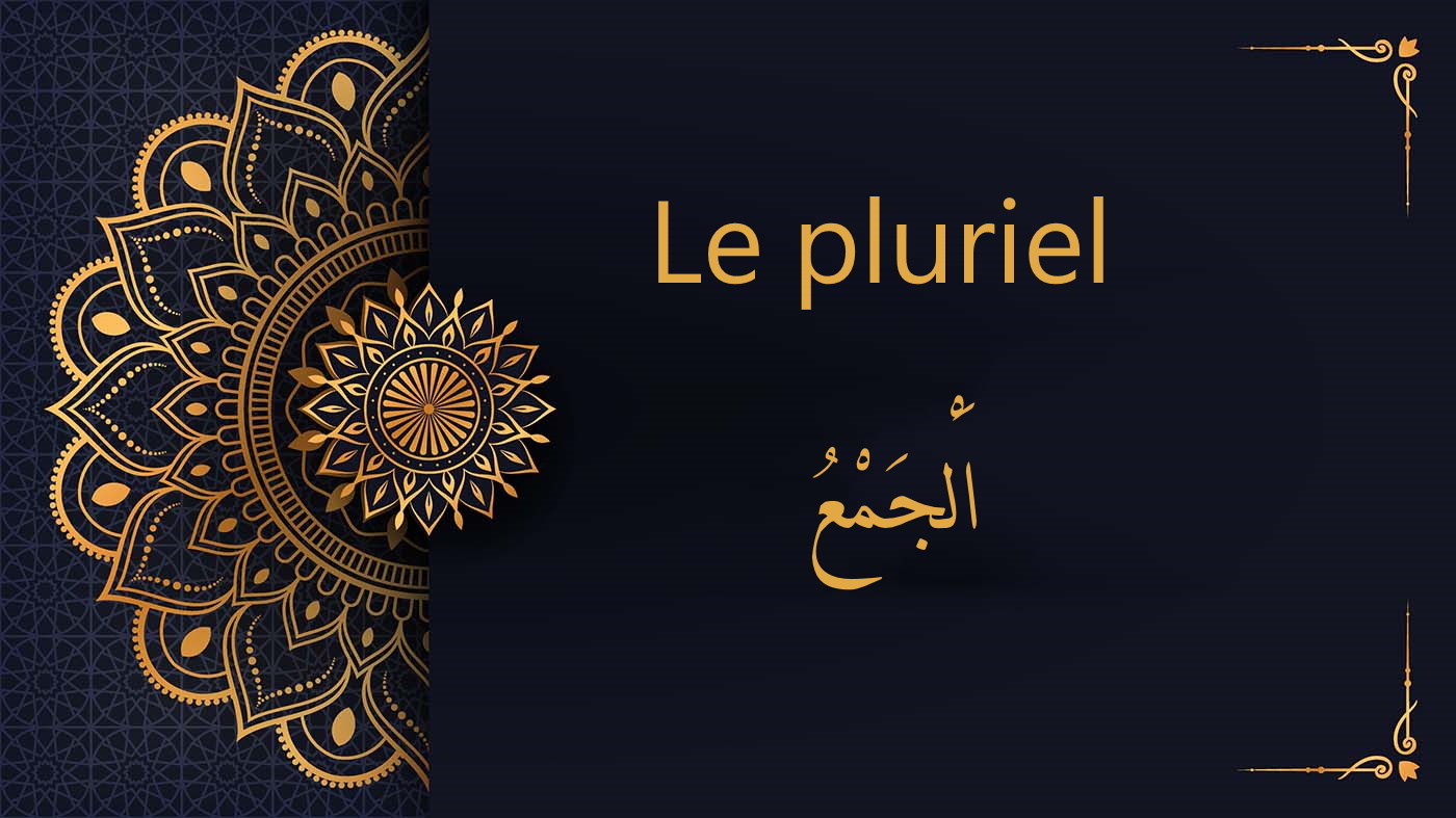 le duel en arabe | cours d'arabe gratuit