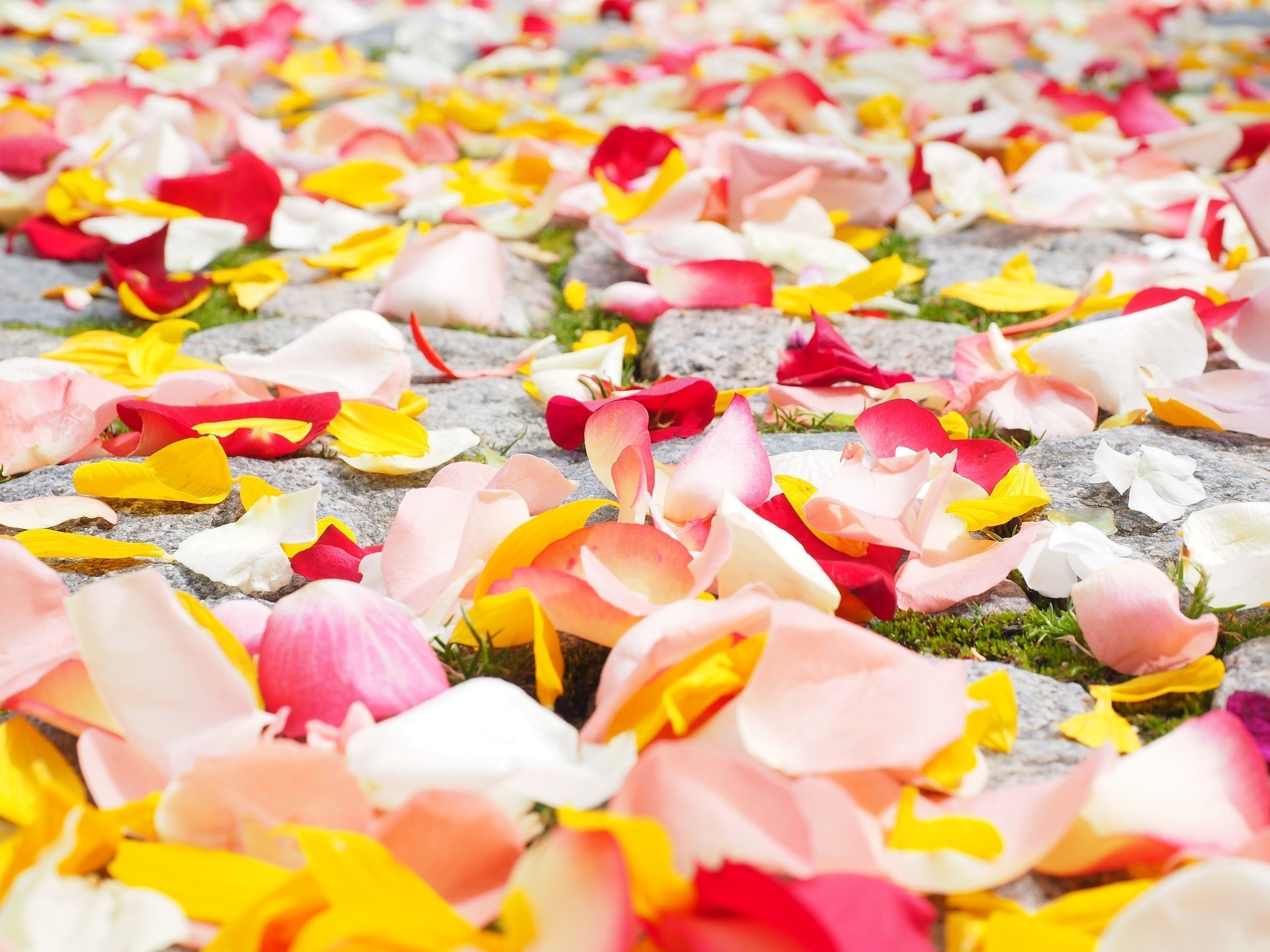 fleurs de mariage
